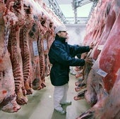 Come carne con cabeza, no la elimines sin razón