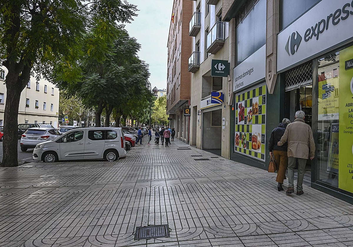 La avenida de Pardaleras, una de las áreas afectadas.