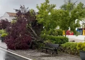 Un «mini tornado» causa numerosos destrozos en Campomayor