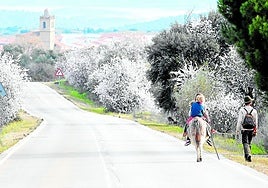 Primavera con runrún de motosierras
