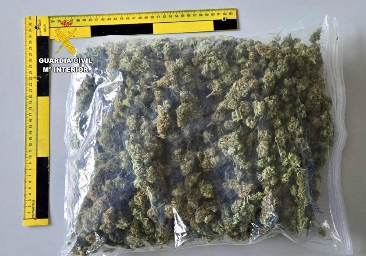 Investigado en Moraleja tras huir de la Guardia Civil y tirar al suelo medio kilo de marihuana