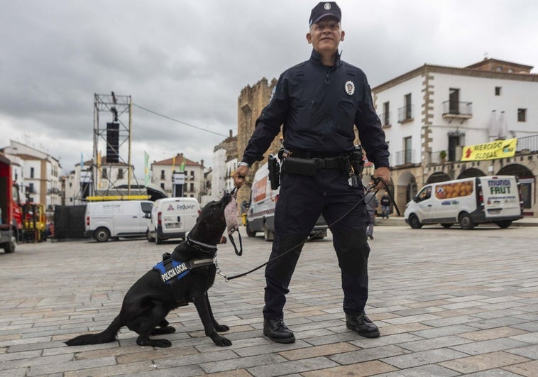 La última misión de Thor, el perro policía de Cáceres: evitar que entre droga en el Womad