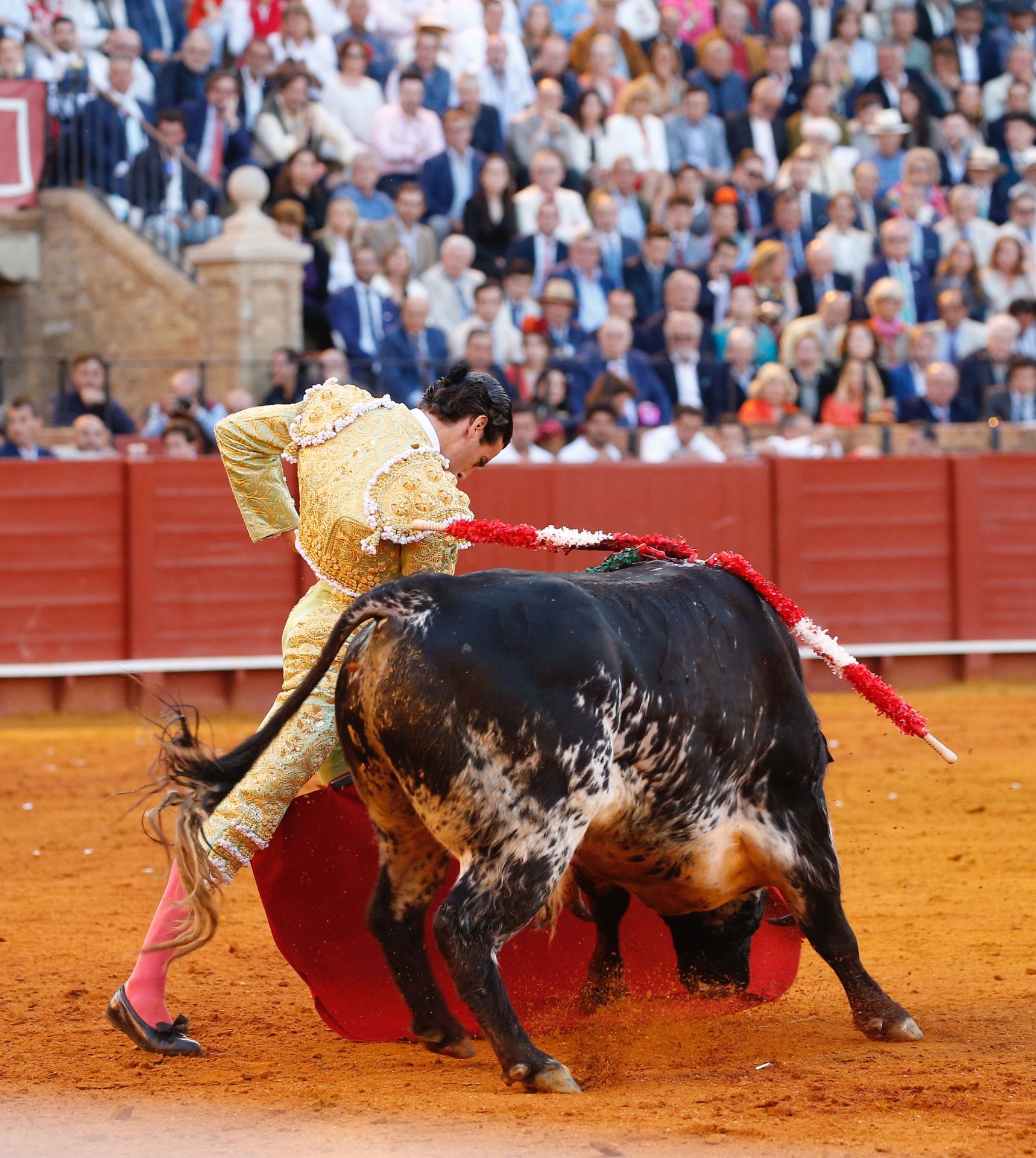 Las mejores imágenes del festejo con Perera, Roca Rey y Juan Ortega