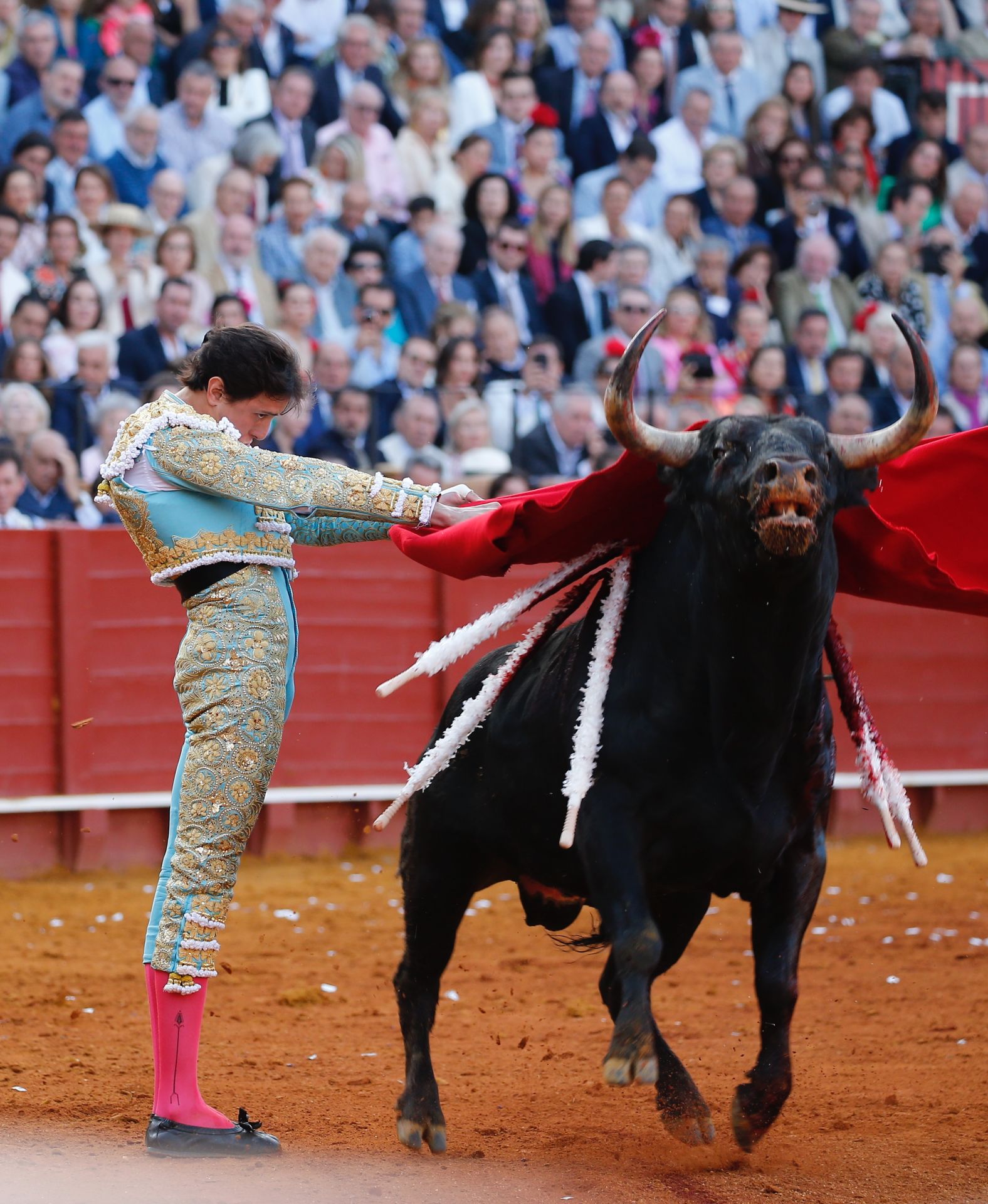 Las mejores imágenes del festejo con Perera, Roca Rey y Juan Ortega