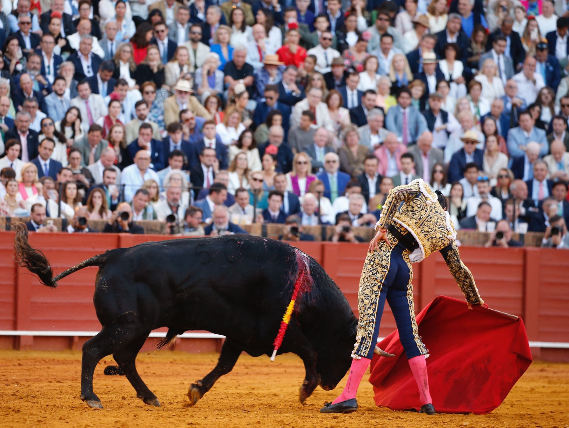 Las mejores imágenes del festejo con Perera, Roca Rey y Juan Ortega