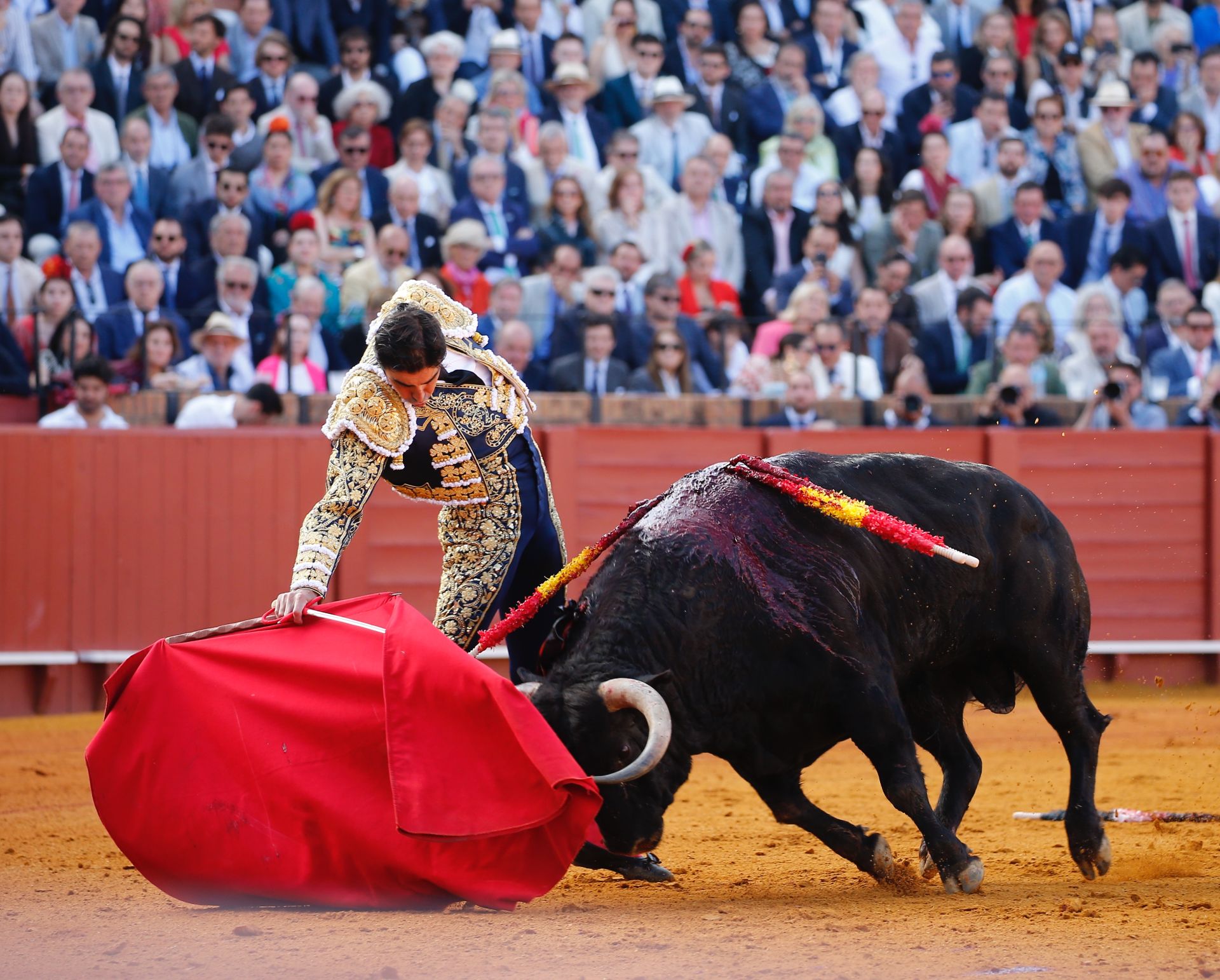 Las mejores imágenes del festejo con Perera, Roca Rey y Juan Ortega