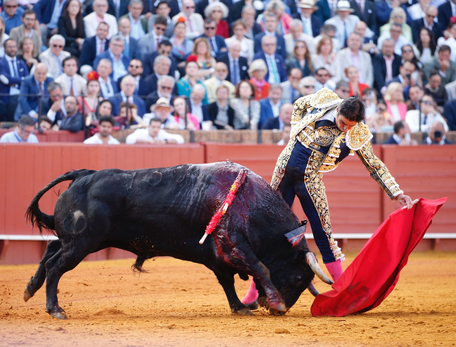 Las mejores imágenes del festejo con Perera, Roca Rey y Juan Ortega