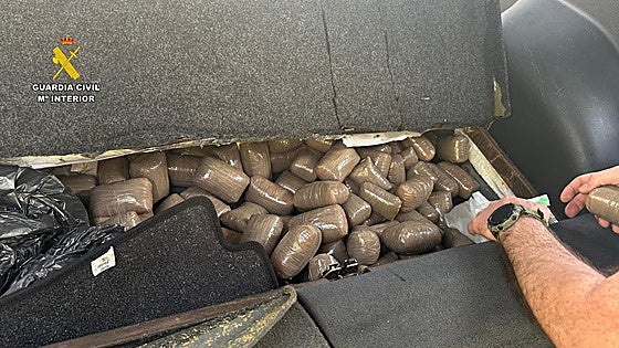 Lucky detecta casi 40 kilos de hachís para venderlos durante el Womad de Cáceres
