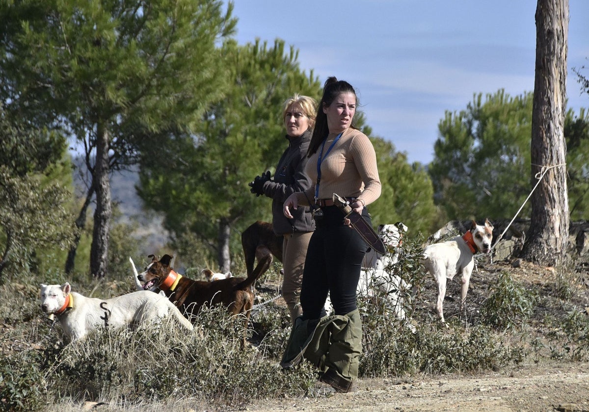 Extremadura, entre los sitios favoritos para los cazadores de seis comunidades