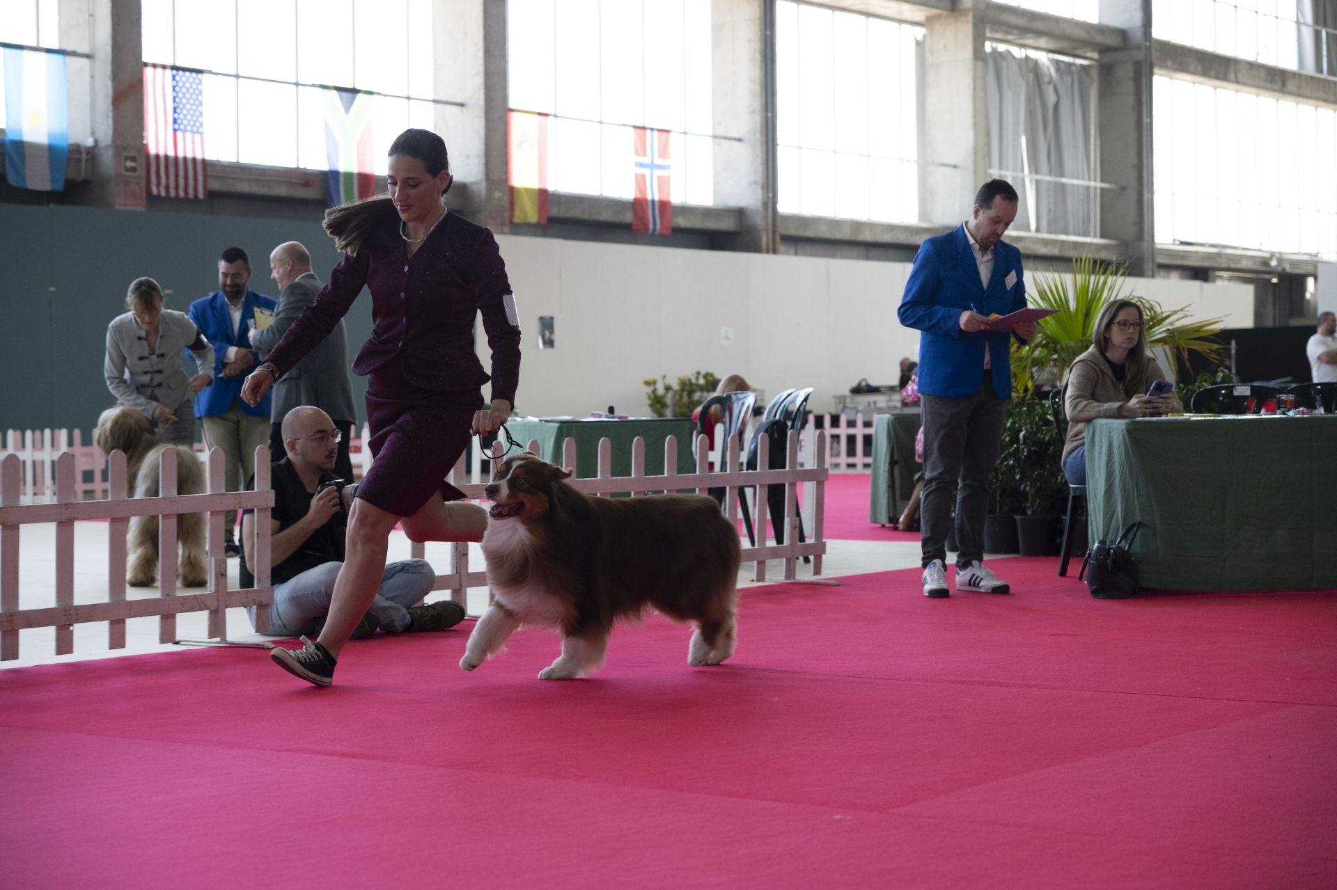 Las mejores imágenes de la Exposición Canina Internacional en Ifeba