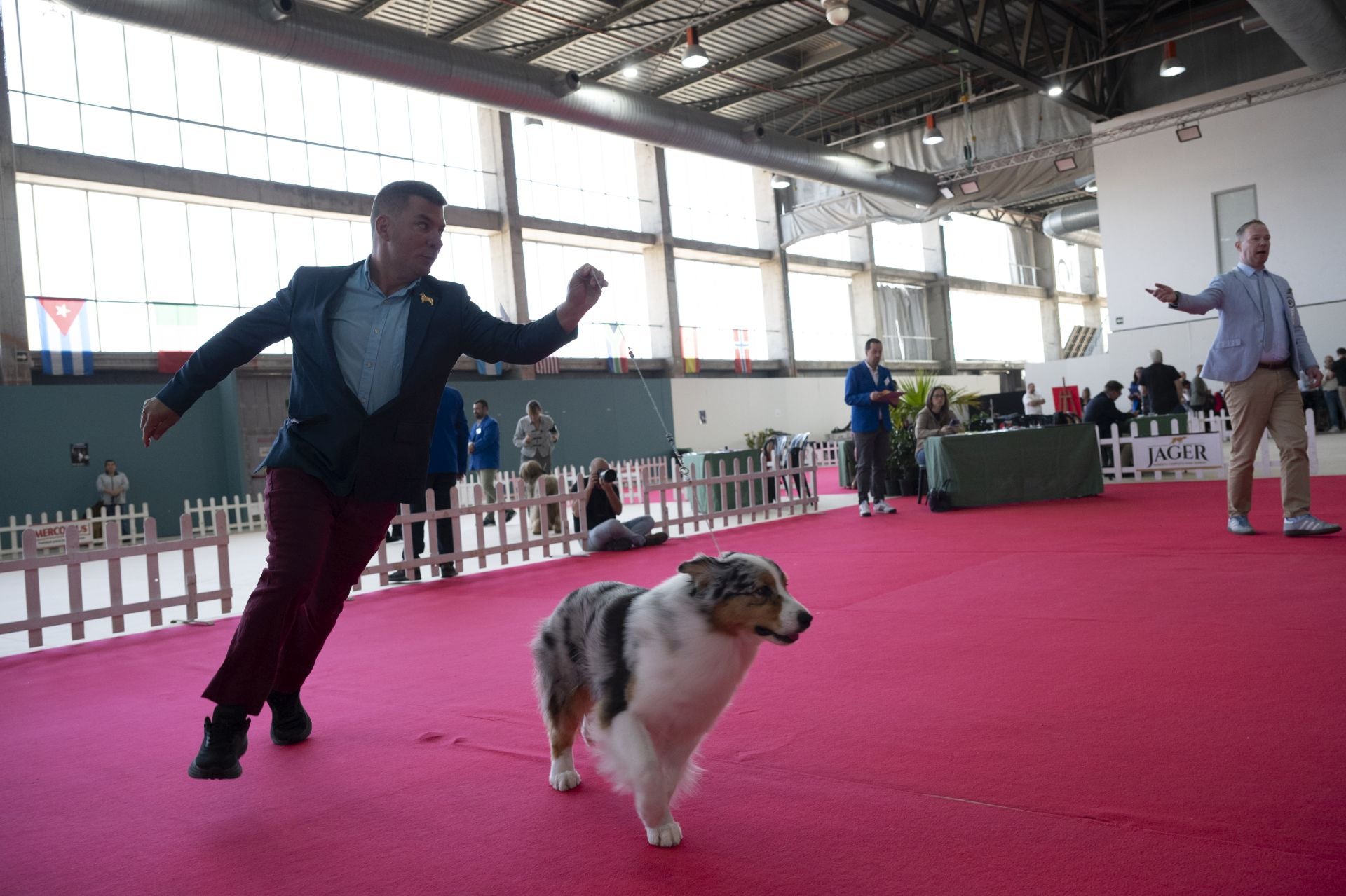 Las mejores imágenes de la Exposición Canina Internacional en Ifeba