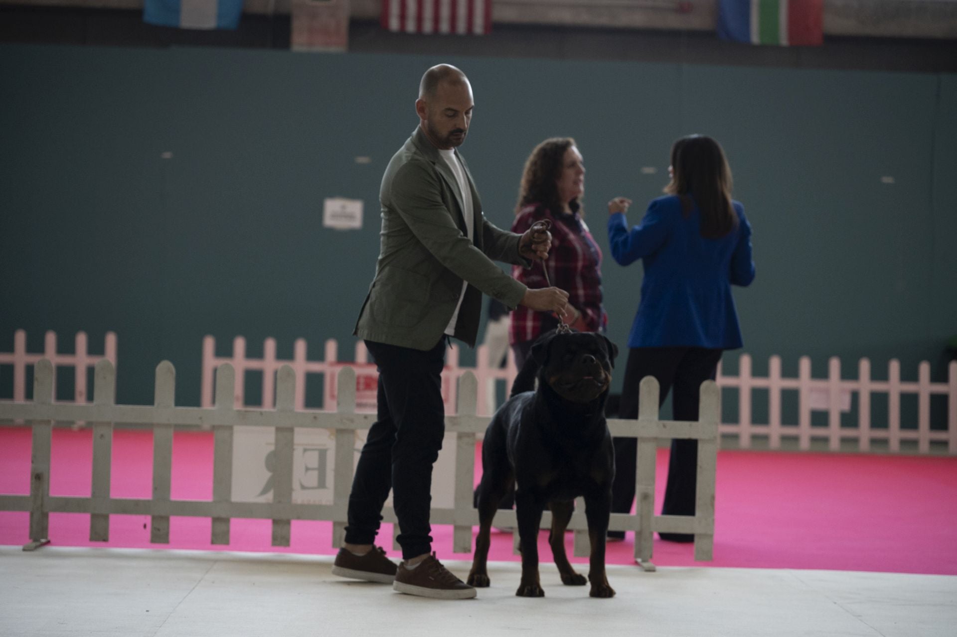 Las mejores imágenes de la Exposición Canina Internacional en Ifeba