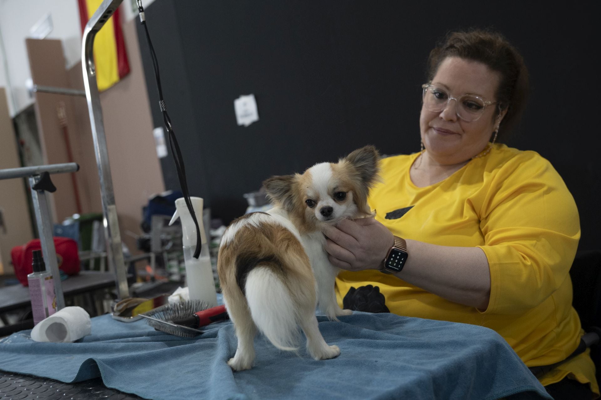 Las mejores imágenes de la Exposición Canina Internacional en Ifeba