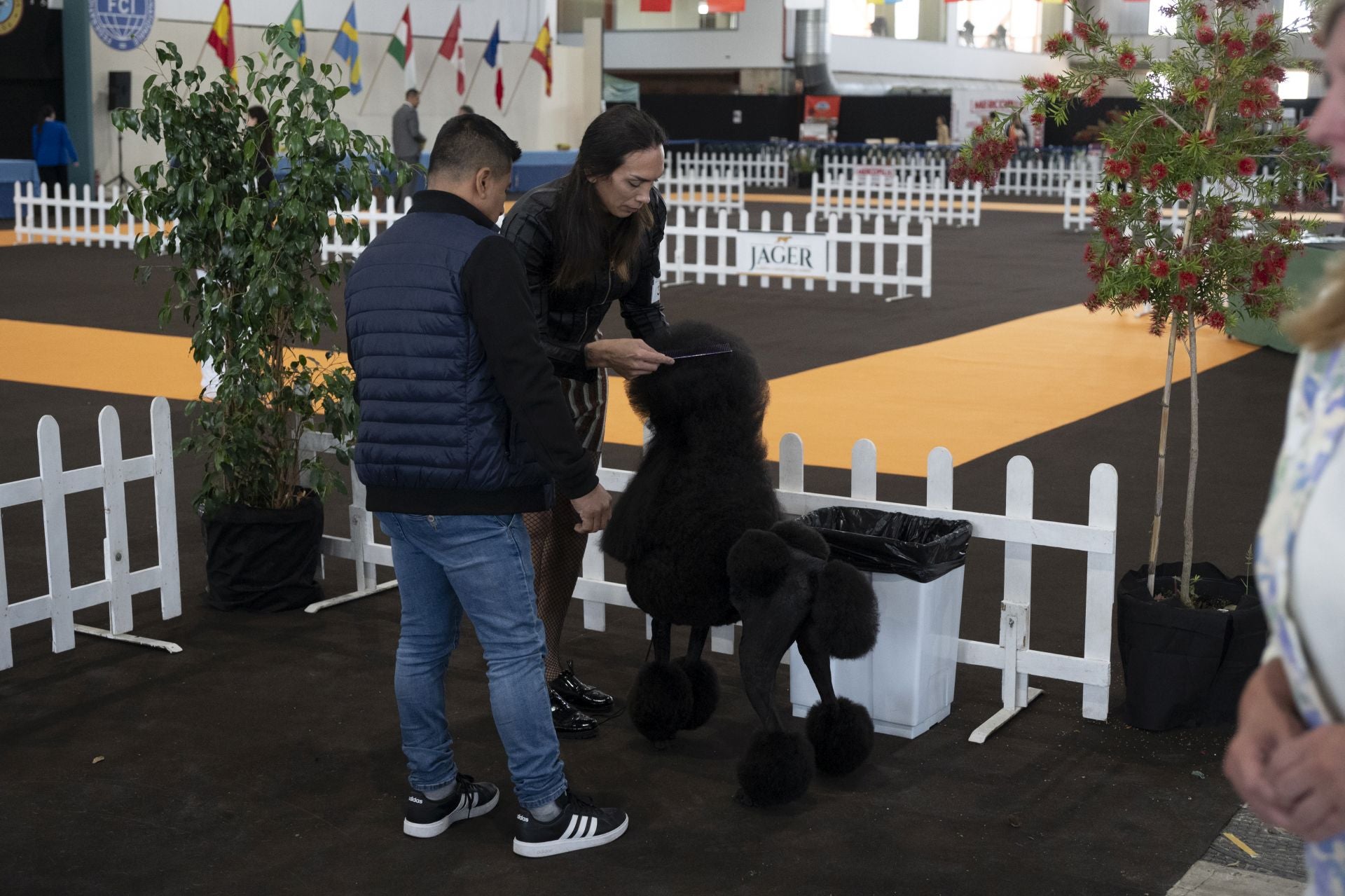 Las mejores imágenes de la Exposición Canina Internacional en Ifeba