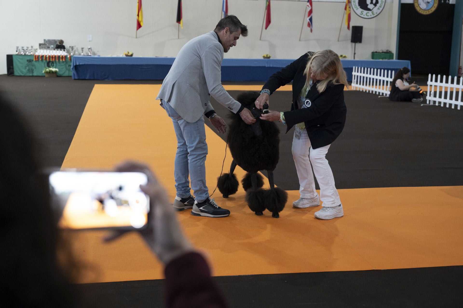 Las mejores imágenes de la Exposición Canina Internacional en Ifeba