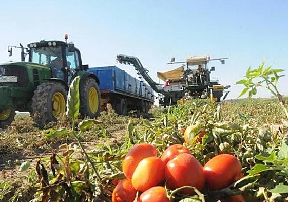 Extremadura reivindica una PAC adecuada como «herramienta clave» para el medio rural