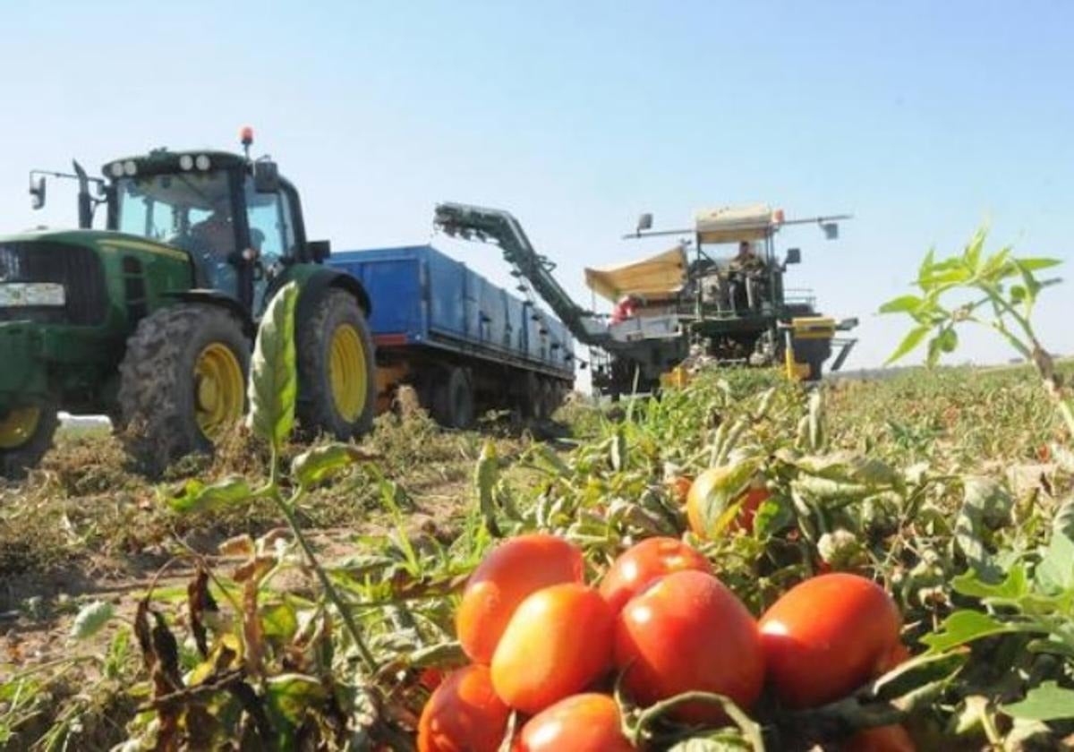 Extremadura reivindica una PAC adecuada como «herramienta clave» para el medio rural