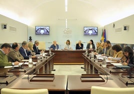 Reunión de la comisión de Tierra de Barros en el Parlamento regional.