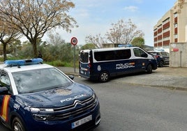 El Senado aprueba una moción para dotar de más agentes a la Policía Nacional de Plasencia