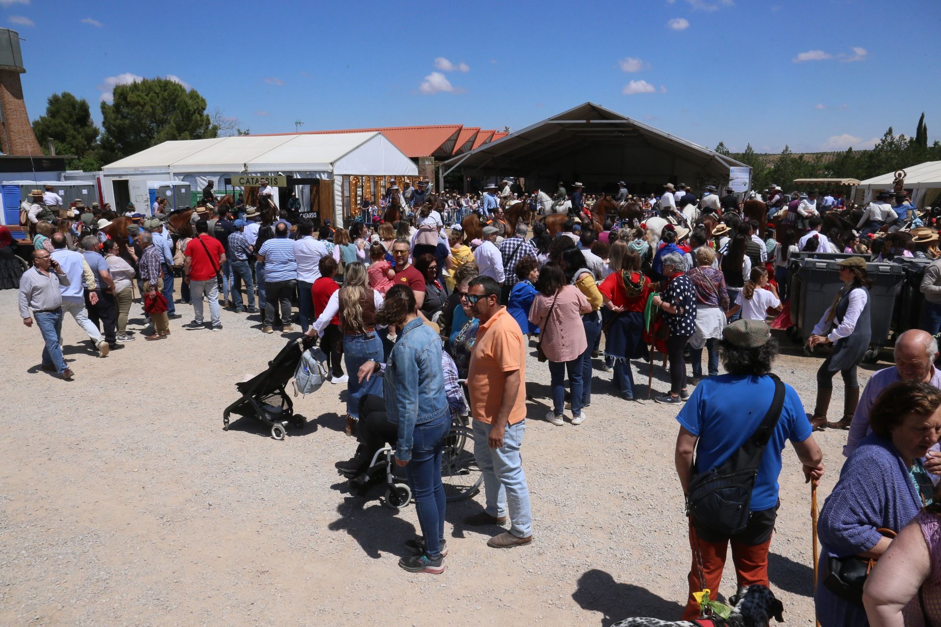 La romería de San Isidro de Villafranca de los Barros, en imágenes