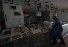Apagón en una pescadería de Cáceres el pasado 28 de abril.
