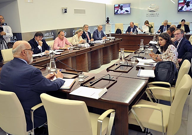 Irene de Miguel, a la derecha, pregunta a Domínguez Lama en la comisión.