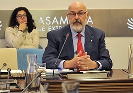 Francisco Antonio Domínguez Lama, gerente de Tragsatec de la zona de Andalucía y Extremadura, esta mañana en la Asamblea de Extremadura.