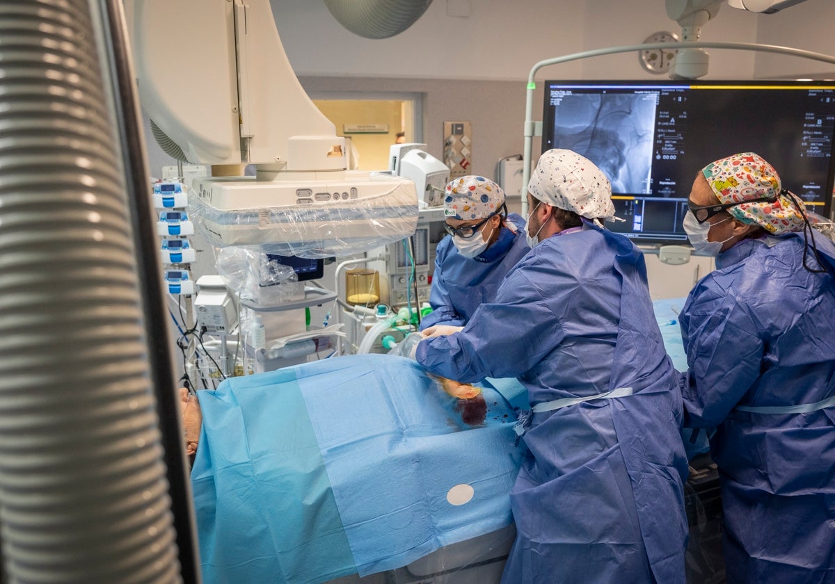 Profesionales sanitarios en una intervención en un hospital de la región.