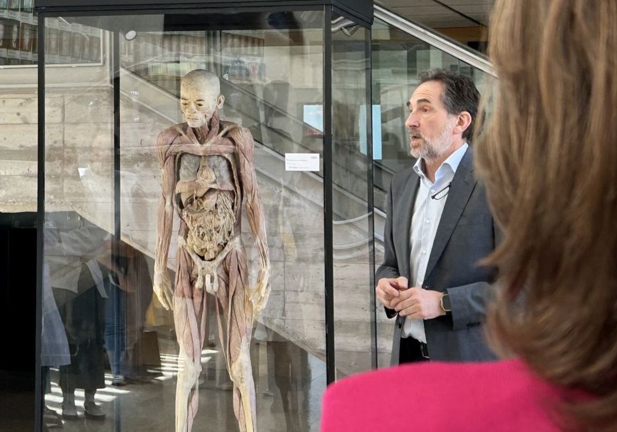 El Centro de Cirugía de Mínima Invasión de Cáceres exhibe 12 cuerpos humanos reales y 150 órganos