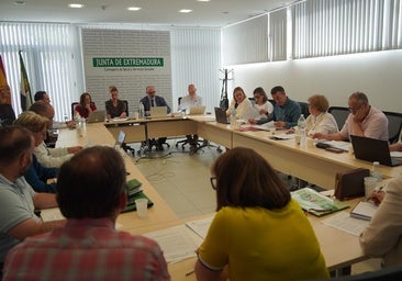 Salud bonificará con 1.000 euros a los MIR que quieran seguir formándose si se quedan en Extremadura