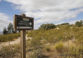 La Ley Agraria es modificada para soterrar líneas de luz o agua bajo los caminos