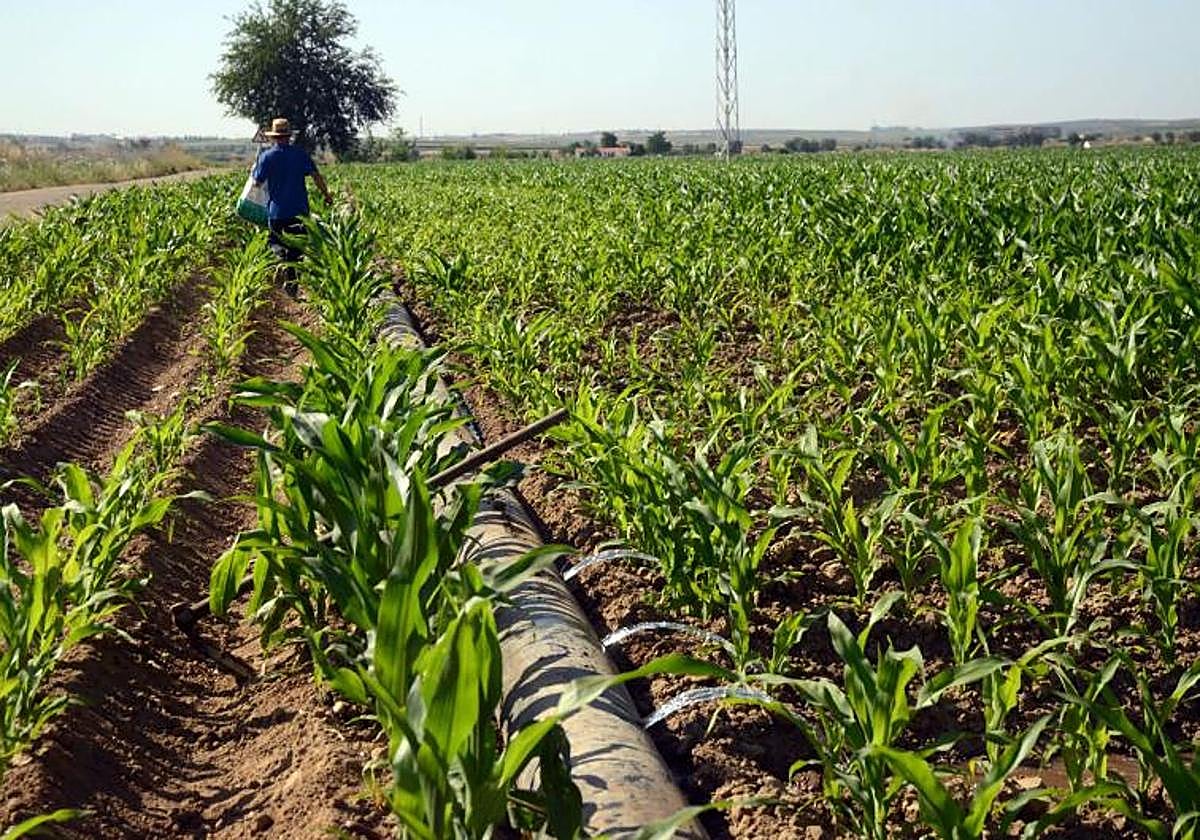 El agua que da de comer