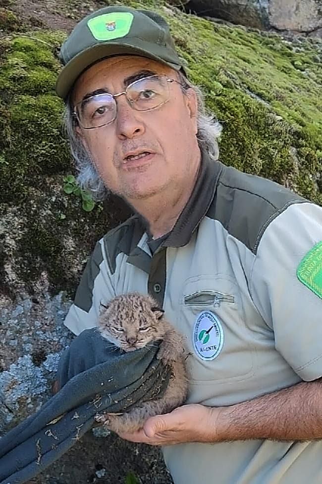 Un agente del Medio Natural con uno de los cachorros rescatados.