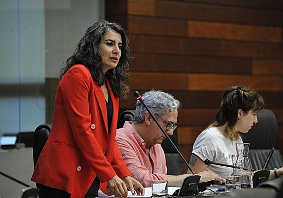 Irene de Miguel este jueves en la Asamblea.