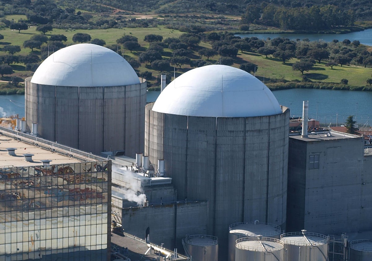 Vista parcial de la planta extremeña, con sus dos reactores.