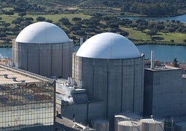 Vista parcial de la planta extremeña, con sus dos reactores.