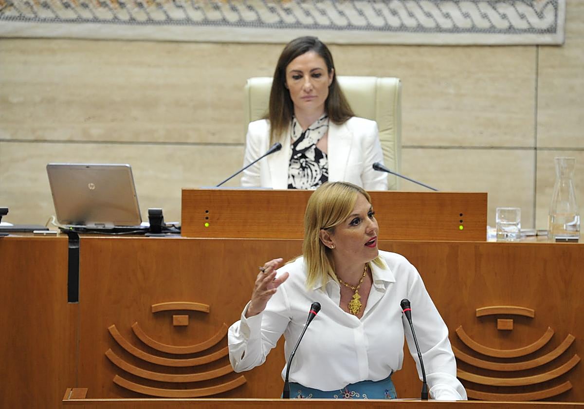 Intervención de la consejera de Hacienda, Elena Manzano, en la Asamblea este jueves.