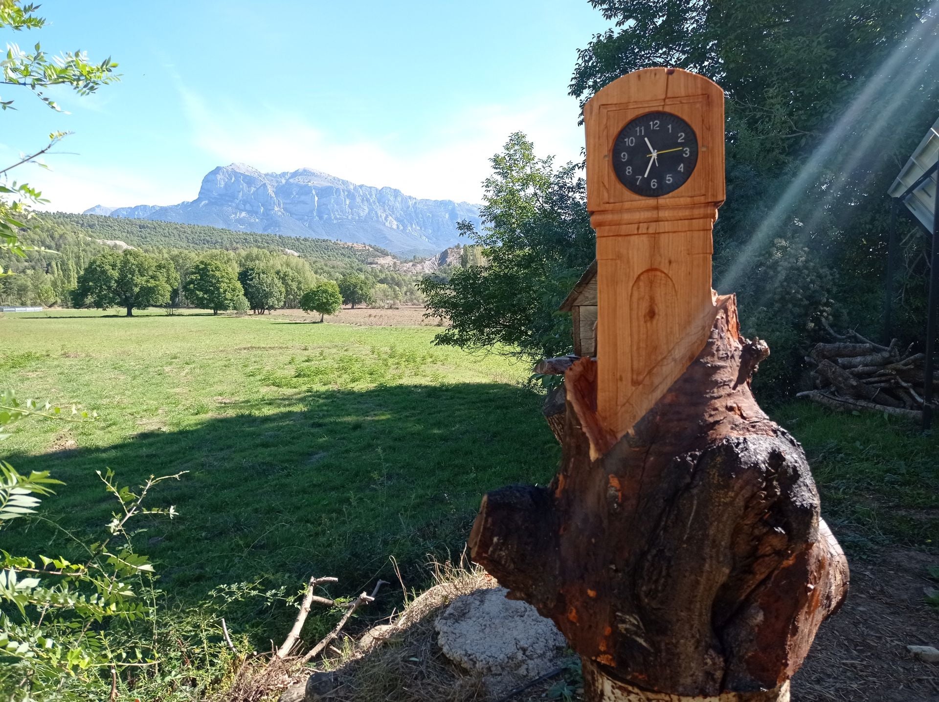 Fotos | Lupe Arévalo, campeona de talla con motosierra