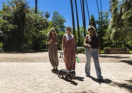 Este jueves en Badajoz había que buscar la sombra y tirar de abanico.