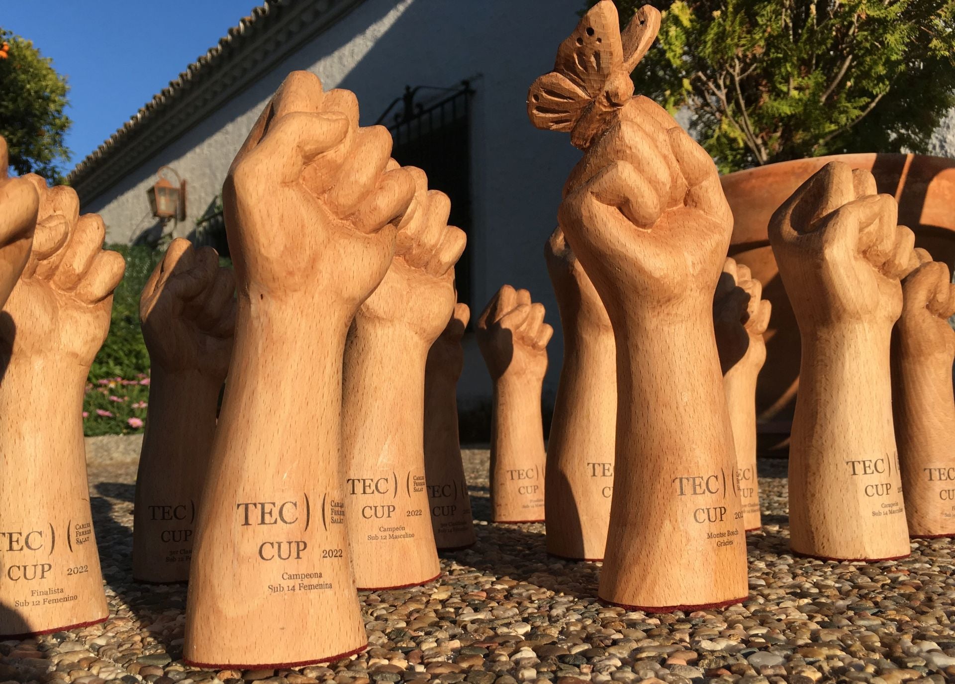 Fotos | Lupe Arévalo, campeona de talla con motosierra