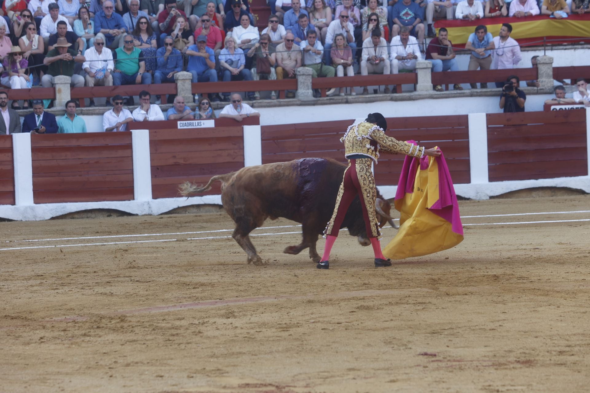 Fotos | Así ha sido el festejo de Morante y Roca Rey en la Feria de San Fernando de Cáceres