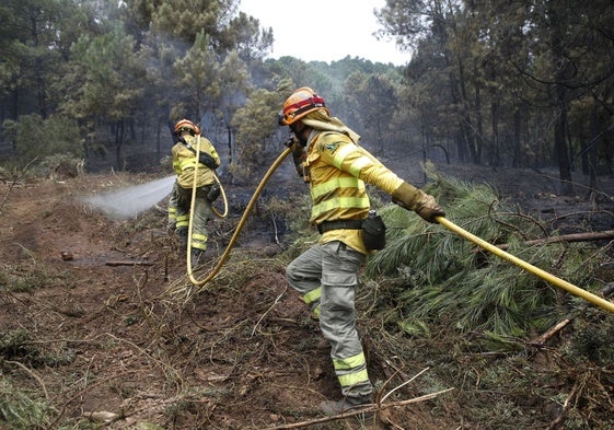 Bomberos forestales del Infoex, en un incendio en la región.