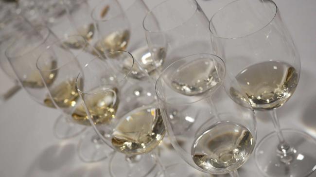 ¿Cuál de estas regiones es conocida por sus vinos con denominación de origen?