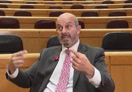 El presidente del Senado, Pedro Rollán, durante la entrevista.