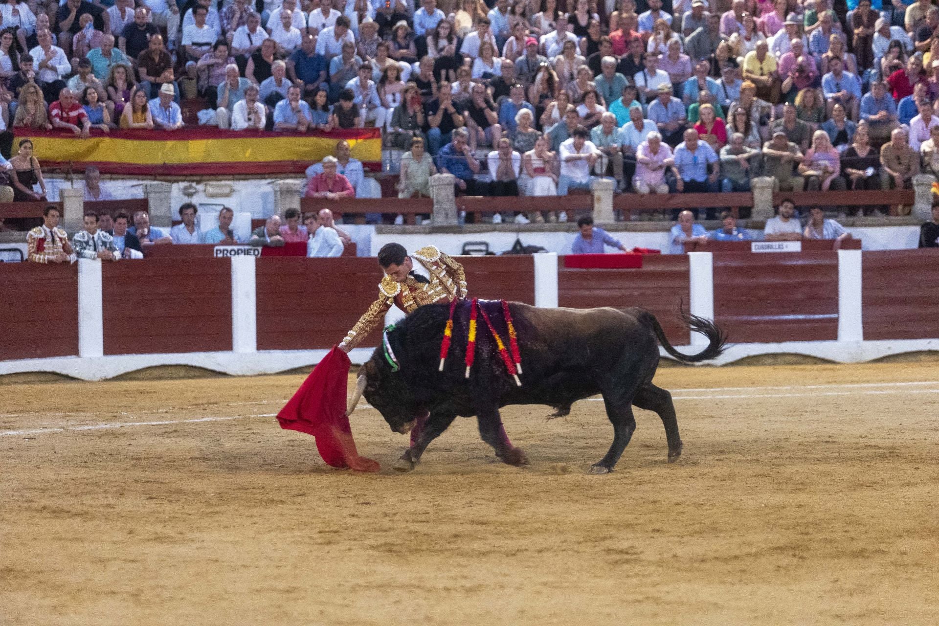 Fotos | Así ha sido el cierre de la Feria Taurina de Cácers con Ferrera, Roca y Marín