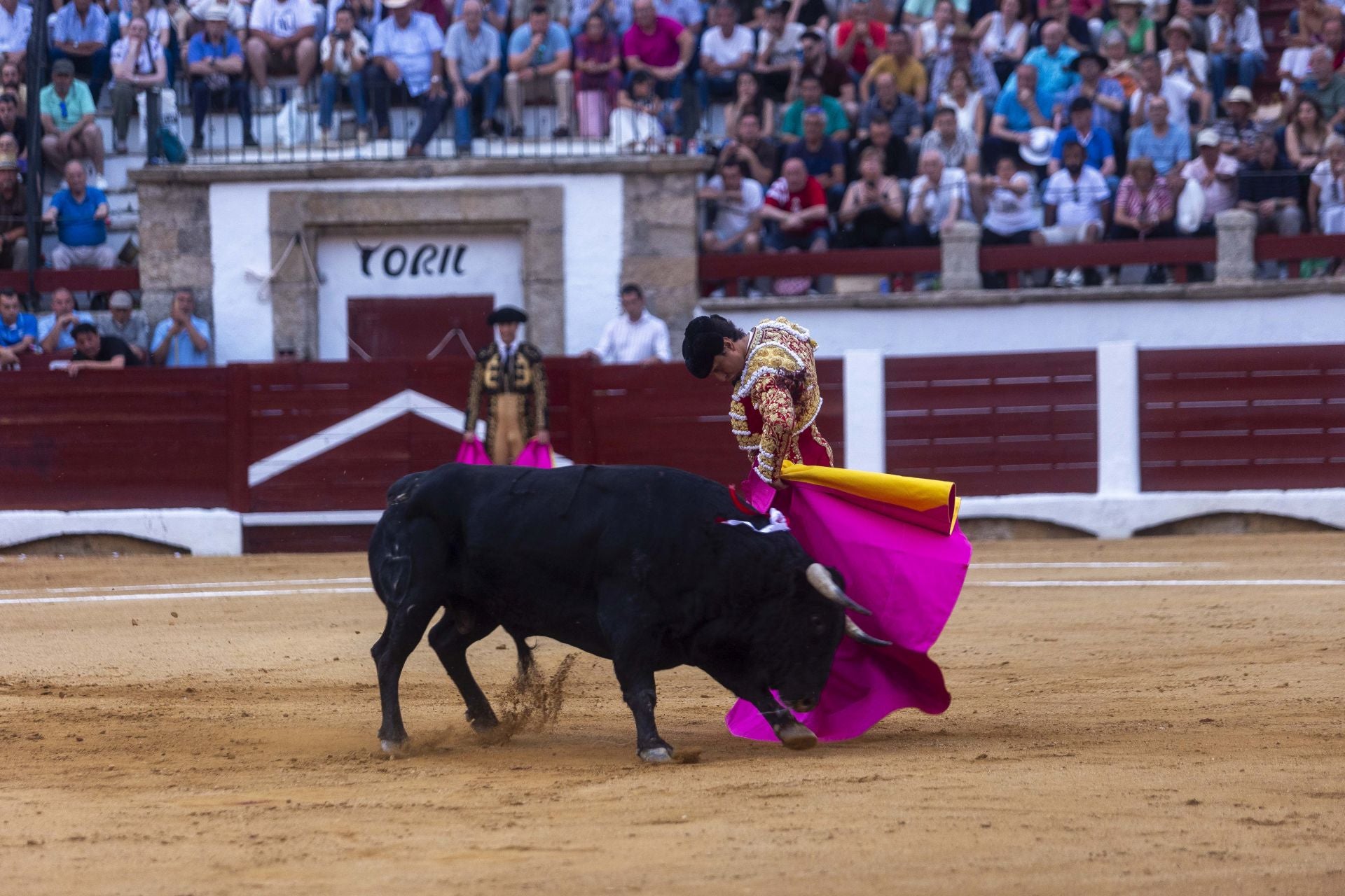 Fotos | Así ha sido el cierre de la Feria Taurina de Cácers con Ferrera, Roca y Marín