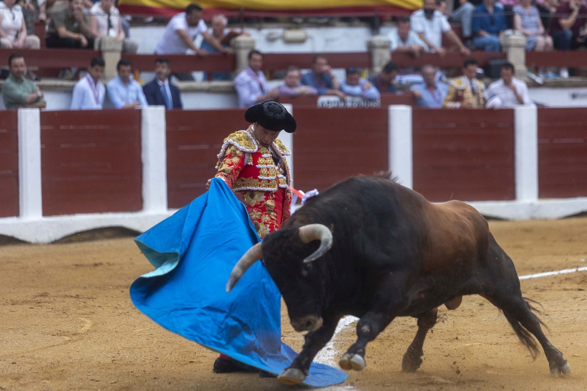 Fotos | Así ha sido el cierre de la Feria Taurina de Cácers con Ferrera, Roca y Marín