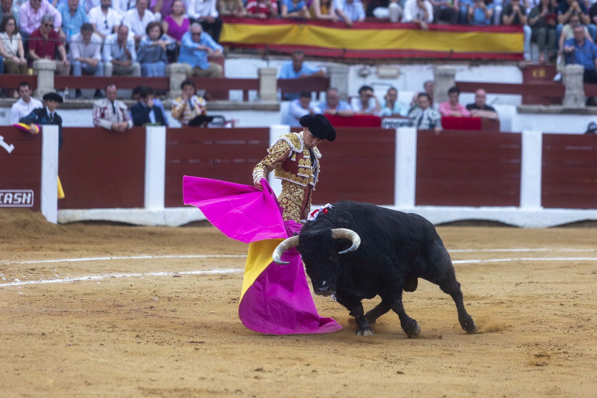 Fotos | Así ha sido el cierre de la Feria Taurina de Cácers con Ferrera, Roca y Marín