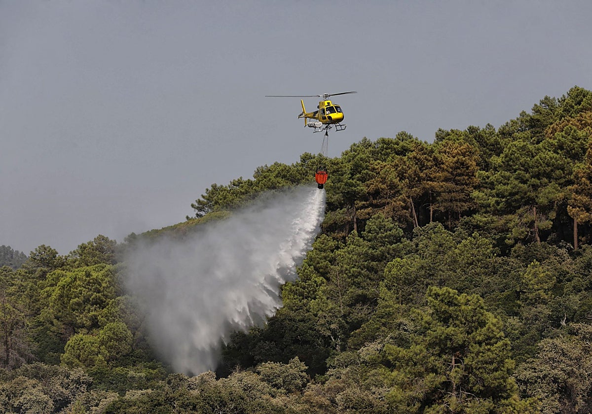 Un helicóptero descarga agua para sofocar un incendio en una imagen de archivo.