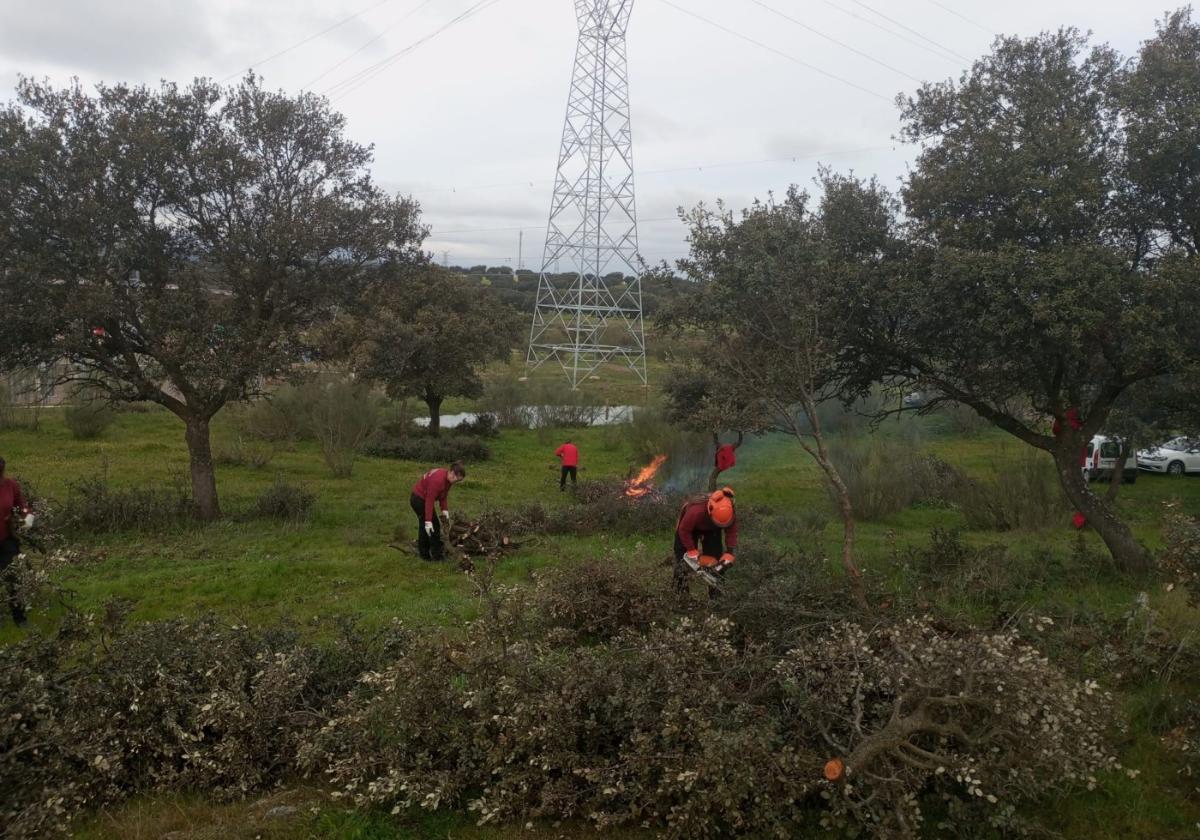 Destinan 156.569 euros a tres naves agrícolas en la finca municipal Dehesa Valdeobispo